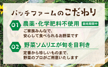 【定期便 】旬彩野菜セット定期便3回 旬の野菜 7品目以上