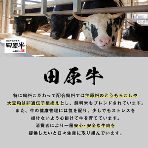 田原牛 堪能セット 牛ロース ステーキ250g×2 しゃぶしゃぶ用 500g すき焼き用 500g 牛肉 ビーフ 肩ロース ステーキ しゃぶしゃぶ お取り寄せ 牛 特産 ご当地 グルメ 国産 霜降り ふるさと納税 肉 冷凍 贅沢 和食 洋食 祝 田原市 送料無料