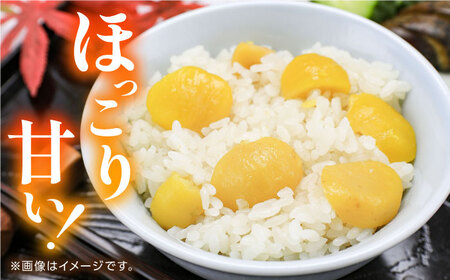 むき栗 約1kg 【株式会社あんず】[ZBT014]