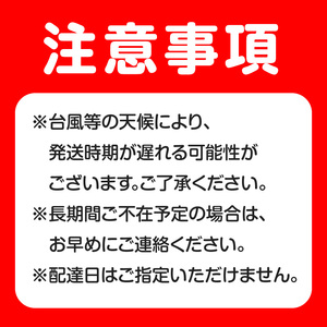 【 2026年 先行予約 】 完熟 ！ パッションフルーツ 【 大玉 】 （ 12個入り ） C065-001-02 果物 フルーツ