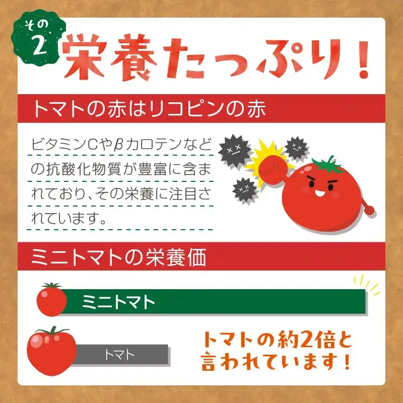 【トマト】カラフルミニトマト 1kg