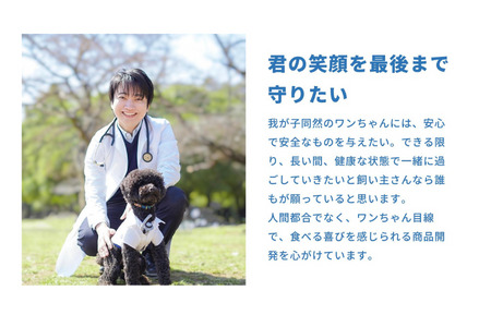 6-72 南アルプスの天然鹿肉ジャーキーセット ワンちゃんの贅沢おやつ ALPDW004