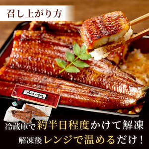 【土用の丑の日までに届く！】うなぎの蒲焼き2～3人前(1尾)｜鰻うなぎ
