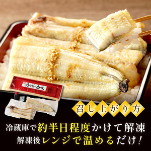 【土用の丑の日までに届く！】うなぎの白焼き2～3人前(1尾) ふるさと納税 ウナギ 鰻 白焼 しらやき タレ 国産 うなぎ 鰻 惣菜 京都 ギフト 贈り物 お祝い