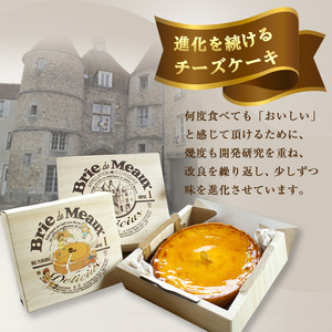 ＜新登場＞「デリチュース」チーズケーキ(1個)チーズケーキ ベイクドチーズケーキ お菓子 スイーツ ケーキ 冷凍 大阪土産 誕生日 記念日 お取り寄せ ギフト 贈答 プレゼント【m22-03】【株式会社デリチュース】