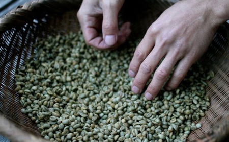 森のおと  炭火焙煎珈琲 500g 飲料類 コーヒー 珈琲 コーヒー豆 珈琲豆