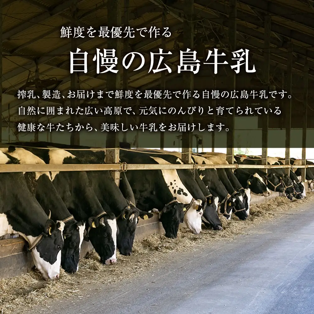 牛乳 生乳100% 広島 「県北搾り」 成分無調整 1L×2本 200ml×4本 合計6本セット_GE007_005