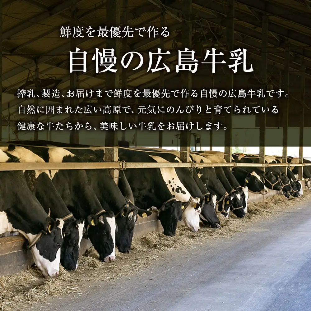 『定期便』牛乳「県北搾り」 1L×6本 全6回 生乳100% 広島 成分無調整_GE007_006s6