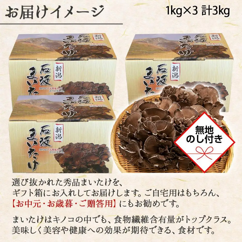 【無地のし】 新潟県 南魚沼産 厳選 国産 石坂 高級  まいたけ 産地直送 1kg ×3箱 計3kg 贈り物 ギフト お中元 お歳暮 石坂きのこ
