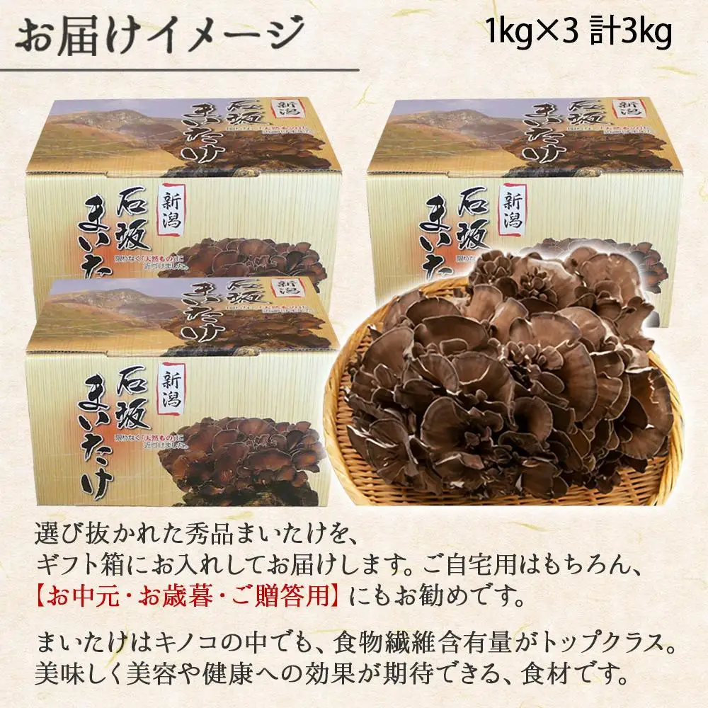 新潟県 南魚沼産 厳選 国産 石坂 高級 舞茸 産地直送 1kg ×3箱 計3kg 石坂きのこ