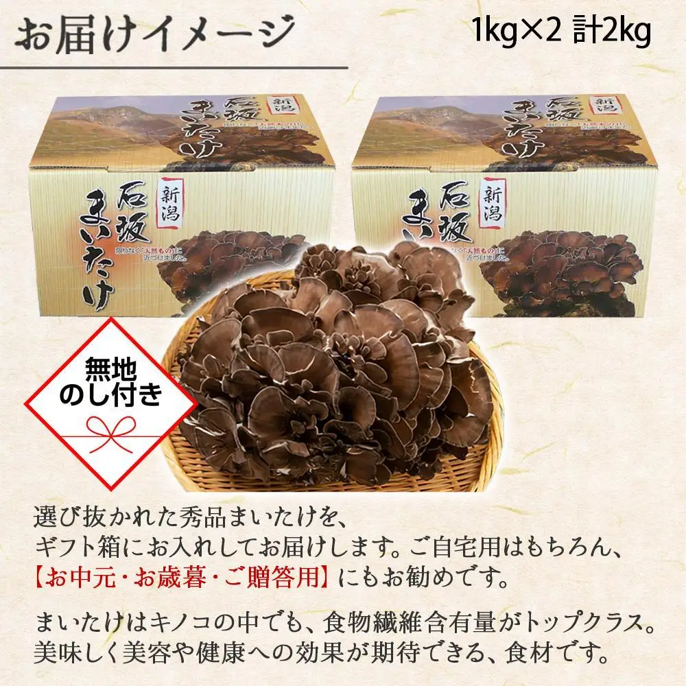 【無地のし】 新潟県 南魚沼産 厳選 国産 石坂 高級 舞茸 まいたけ 産地直送 1kg ×2箱 計2kg 贈り物 ギフト お中元 お歳暮 石坂きのこ
