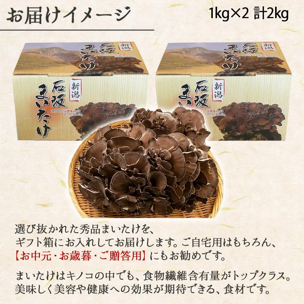 新潟県 南魚沼産 厳選 国産 石坂 高級 舞茸 まいたけ 産地直送 1kg ×2箱 計2kg 石坂きのこ