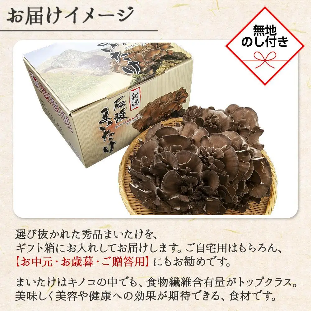 【無地のし】 新潟県 南魚沼産 厳選 国産 石坂 高級 舞茸 まいたけ 産地直送 1kg 贈り物 ギフト お中元 お歳暮 石坂きのこ