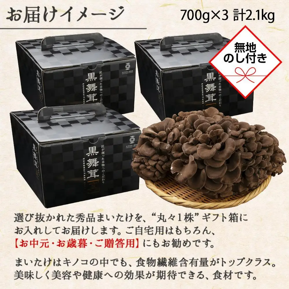 【無地のし】 新潟県 南魚沼産 厳選 国産 黒 高級 舞茸 まいたけ 産地直送 700g ×3箱 計2.1kg 贈り物 ギフト お中元 お歳暮 大平きのこ研究所