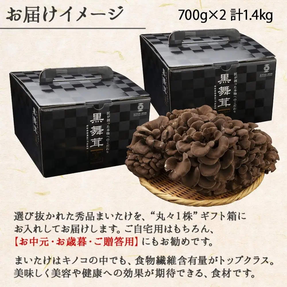 新潟県 南魚沼産 厳選 国産 黒 高級 舞茸 まいたけ 産地直送 700g ×2箱 計1.4kg