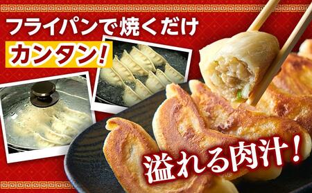 横浜大宝餃子 もちもち肉汁 ジャンボ餃子 60個（30×2）｜国産食材使用 冷凍餃子 ギョーザ 焼き餃子 お取り寄せ 中華総菜 中華 ギフト｜人気 おすすめ 送料無料｜神奈川県 横浜市 AKN0001