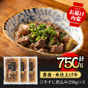 豊後米仕上げ牛 牛すじ煮込み(計750g・250g×3パック)牛肉 お肉 おかず おつまみ 小分け 簡単調理 時短 冷凍 惣菜【111100202】【神楽茶屋】