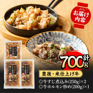 豊後米仕上げ牛牛すじ煮込み＋牛ホルモン炒めセット(合計700g・3パック)牛肉 お肉 小腸 おかず おつまみ 小分け 簡単調理 時短 惣菜【111100302】【神楽茶屋】