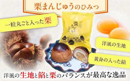 【当店自慢！お菓子詰め合わせ】長崎かすてら と 焼き菓子セット 計11個入【栗まんじゅう本舗 小田製菓】[QAR014]