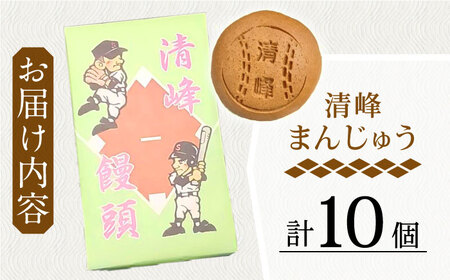 【当店自慢】こだわりの清峰まんじゅう 10個入り【栗まんじゅう本舗　小田製菓】[QAR016]