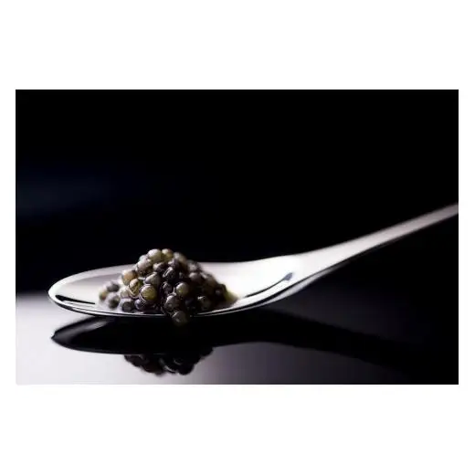 【お中元ギフト】宮崎キャビア MIYAZAKI CAVIAR 1983  20g 国産「ジャパンキャビア」＜25-15a＞
