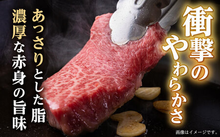 【6回定期便】ランプ ステーキ 300g（150g×2枚） / ステーキ 長崎和牛 A5ランク 希少部位 A5 / 諫早市 / 野中精肉店 [AHCW033]