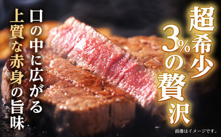 【12回定期便】極上 ヒレ ステーキ 300g（150g×2枚） /  ヒレ ヒレステーキ ヒレ肉ステーキ ヒレ肉 長崎和牛 A5 希少部位 A5 / 諫早市 / 野中精肉店 [AHCW049]