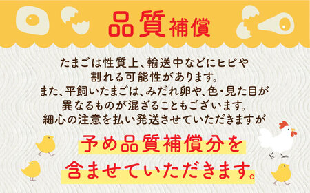 【全3回定期便】ばあちゃんの昔たまご 計60個（15個+5個×3回（品質補償付き）） / 佐賀県 / 素ヱコ農園 [41AEAA004]
