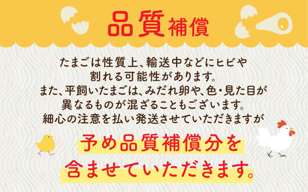【全6回定期便】ばあちゃんの昔たまご 計240個（35個+5個×6回（品質補償付き）） / 佐賀県 / 素ヱコ農園 [41AEAA008]