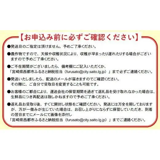 【お中元ギフト】鉢植栽培 西都産完熟マンゴー 2L×2個 宮崎県西都産 サムライファーム＜24-1a＞宮崎マンゴー 果物 フルーツ 甘い