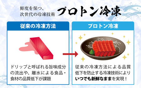 【市場直送】高鮮度急速冷凍 国産本まぐろ 中トロ 約100g（柵）×2 [A-065005] / まぐろ
