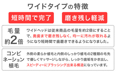 イオン歯ブラシ 極細替えブラシ セット ワイド やわらかめ ピンク 24本入り (2本×12P) | 歯ブラシ