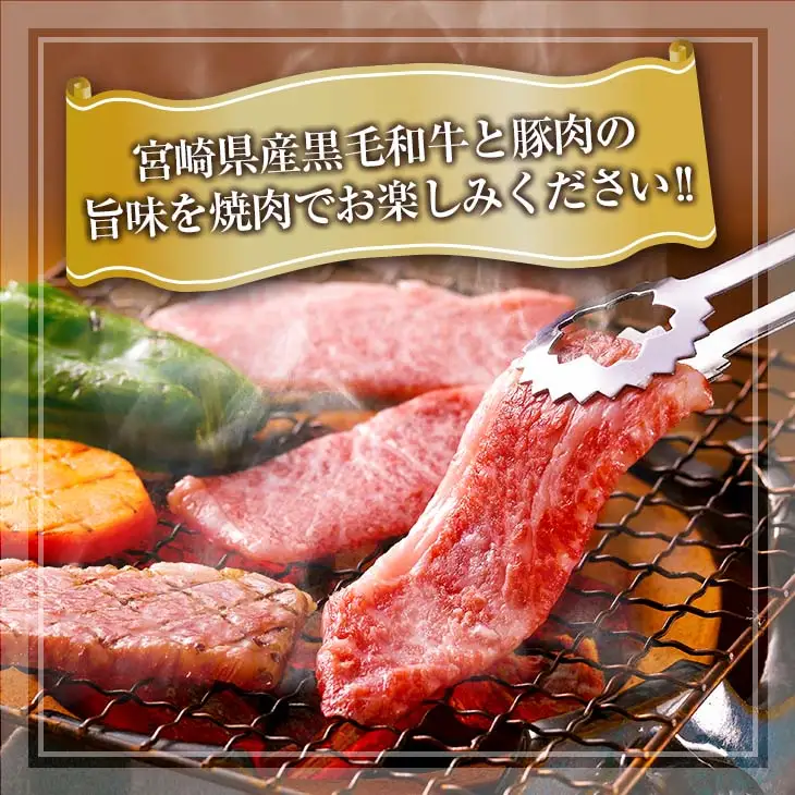 【お中元・夏の贈り物】数量限定 黒毛和牛 赤身肉 豚焼肉 食べ比べ セット 合計800g 肉_C153-252