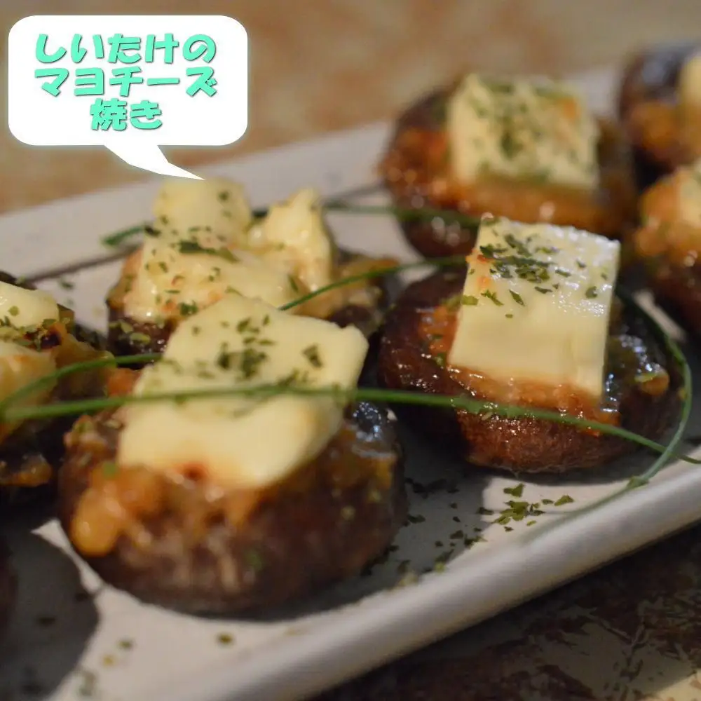 原木生しいたけ約700g 和歌山有田産 ★2026年11月下旬頃より順次発送