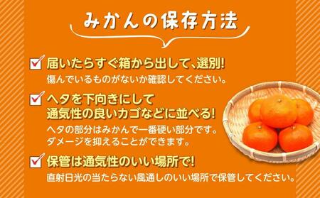 極早生 みかん 由良 約 2.5kg 訳あり みかん