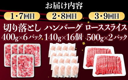 【12回定期便】肉ざんまい定期便（大家族向け・大容量） / 牛肉 [IAX052]