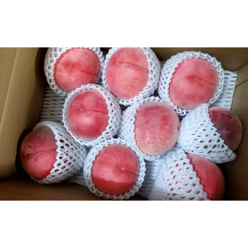 長野市産桃「あかつき」約3kg(8-10個） | 桃 フルーツ