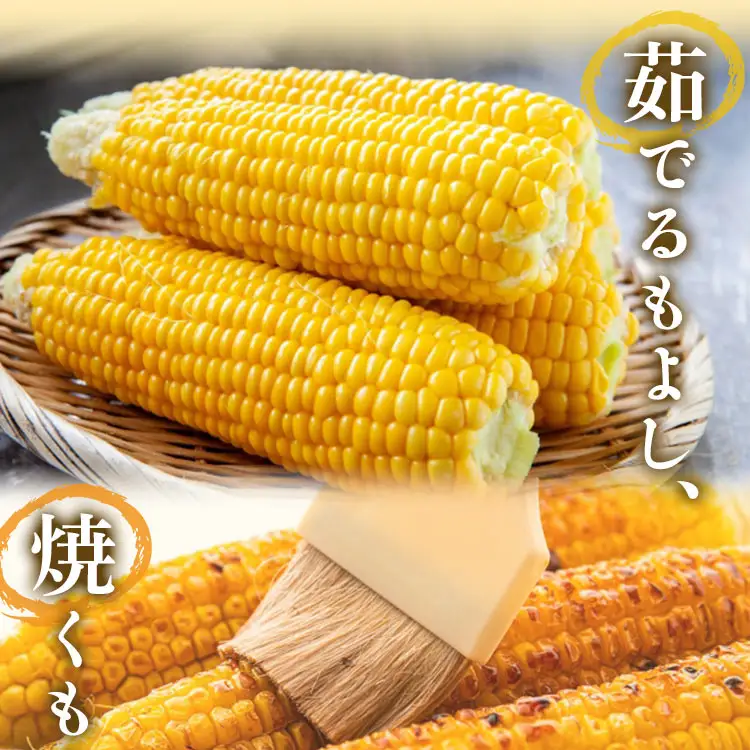 とうもろこし 朝どれスイートコーン2.5kg以上(7～8本) 【2026年5月下旬より順次配送分】 トウモロコシ sy-0001