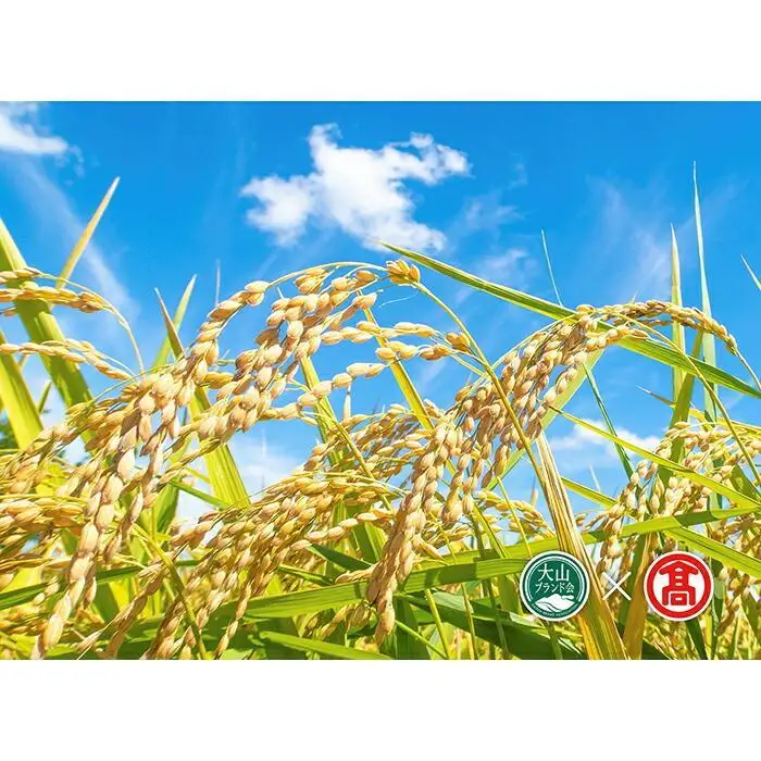 CN6＜米蔵―KOMEGURAー＞《2kg×4銘柄》五ツ星お米マイスター厳選　鳥取県産米4種　食べくらべセット（大山ブランド会）
