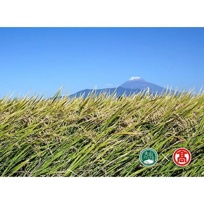 CN7＜米蔵―KOMEGURAー＞【定期便】 五ツ星お米マイスター監修　 鳥取県産米4種食べくらべセット   6kg×4ヶ月 （大山ブランド会）　