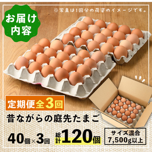 【C7048】《定期便・計3回》昔ながらの庭先たまご (40個×3回 計120個・サイズ混合) 卵 玉子 たまご 定期便 平飼い 40個 濃厚 うまみ 卵かけご飯 目玉焼き 卵焼き ごはん おかず【ファームあるむ】