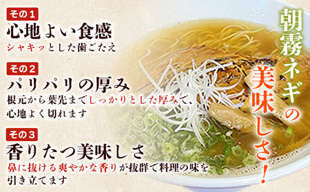 ＜愛媛県西予市産 朝霧ネギ 約2kg（80g入り×25袋）＞ 根無し 西予市産 愛媛県産 国産 野菜 やさい 青葱 青ネギ 青ねぎ 葉ネギ 葱 ねぎ 特産品 株式会社ノムランド 愛媛県 西予市【冷蔵】『1か月以内に順次出荷予定』NNM0001