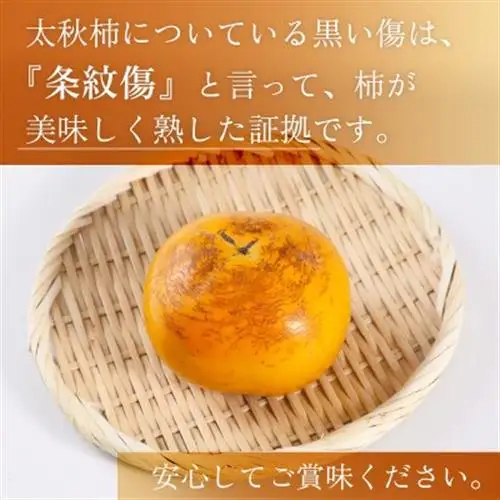 益城町産 太秋柿 約3kg(益城町)【配送不可地域：離島】【1510883】