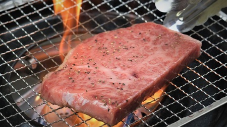 牛肉 いわて南牛 リブロース 合500g A3等級以上 【全国肉用牛枝肉共励会最優秀賞受賞】/ 【kry001】