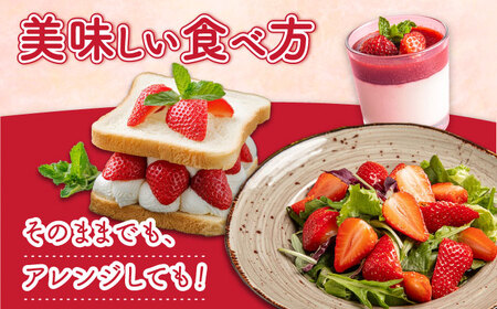 【2027年1月-発送】 いちごゆめのか 250g × 4パック [SAC008] いちご