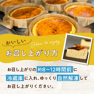 はちみつ RiPi チーズケーキ 5号 ホール 15cm 米粉使用 砂糖不使用 グルテンフリー 洋菓子 スイーツ お菓子 デザート ケーキ お取り寄せグルメ 冷凍配送 送料無料 広島県 呉市 ku162-001-r