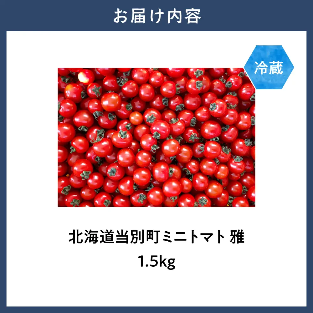 北海道当別町産化学農薬不使用ミニトマト：雅1.5kg 北海道産 トマト プレミアム 野菜 大容量 北海道 当別町