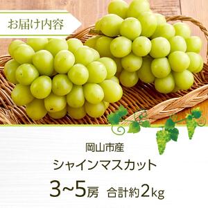 ぶどう 2026年 シャイン マスカット 3～5房 合計約2kg  種無し ブドウ 葡萄 岡山市産 国産 フルーツ 果物 渡邊農園