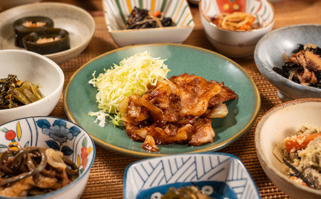 山形・山辺・ヤマキチが贈る手づくりお惣菜 旬の絶品惣菜おまかせ8品セット 【舞米豚】 【郷土食】yk-rtsox8