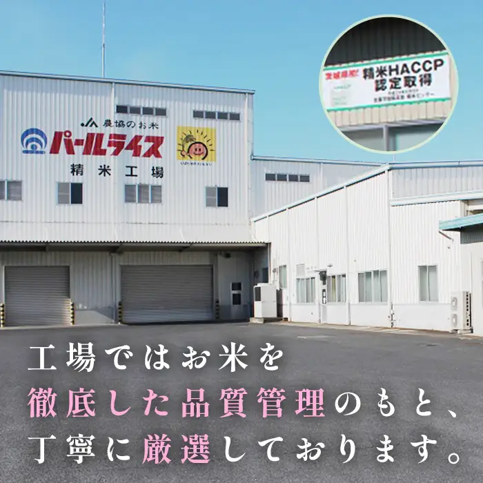 472 ミルキークイーン 10kg 5kg × 2袋 茨城県産 人気 銘柄 令和6年